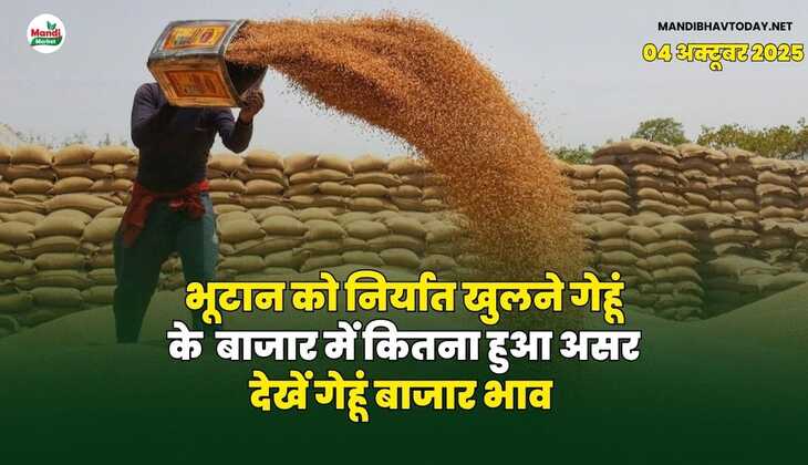 भूटान को निर्यात खुलने गेहूं के  बाजार में कितना हुआ असर | देखें गेहूं बाजार भाव
