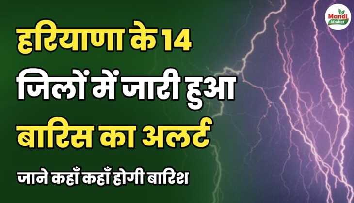 हरियाणा के 14 जिलों में जारी हुआ बारिश का अलर्ट | जानें कहां कहां होगी बारिश