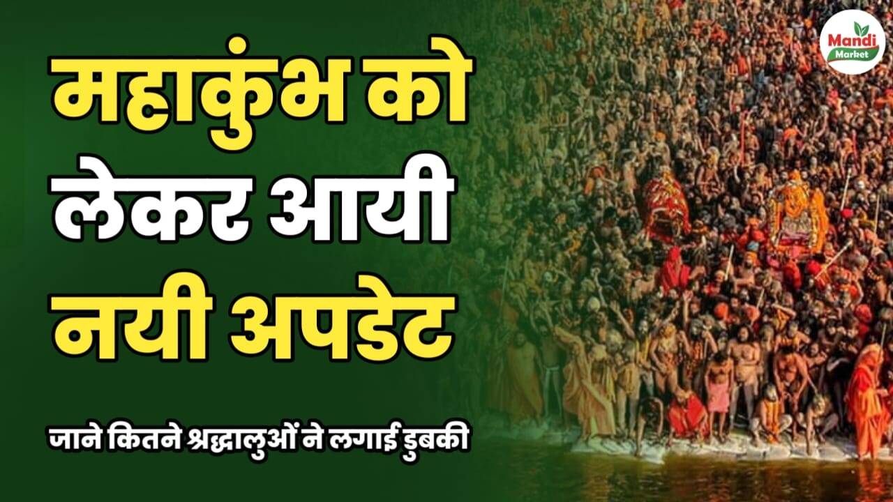 महाकुंभ को लेकर आई नई अपडेट | जानें कितने श्रद्धालुओं ने लगाई डुबकी
