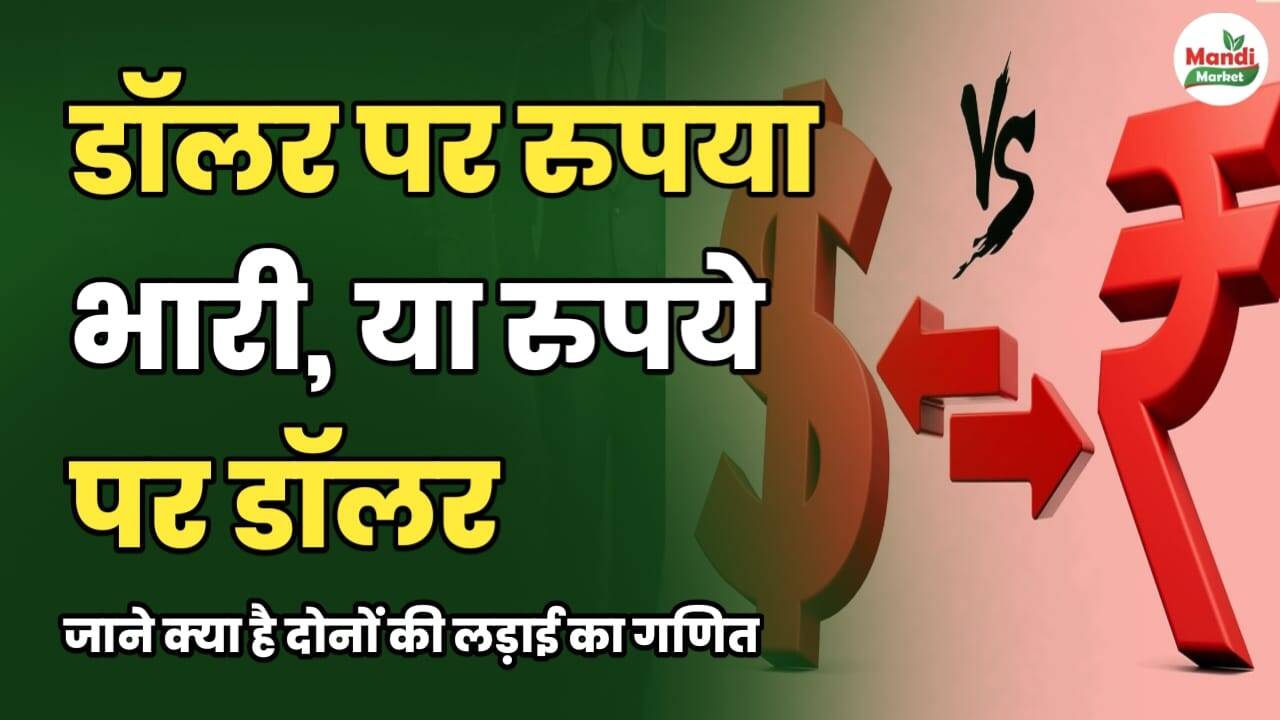 रुपया और डॉलर के बीच की जंग: 10 फरवरी से 18 फरवरी तक की स्थिति पर गहरी नजर