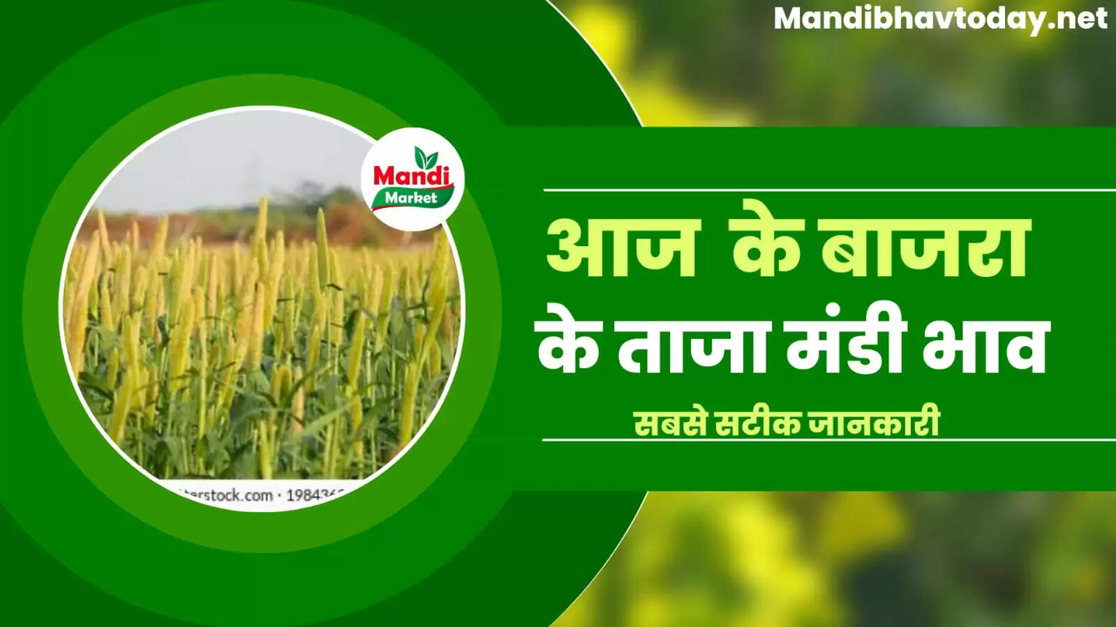 bajra rate today