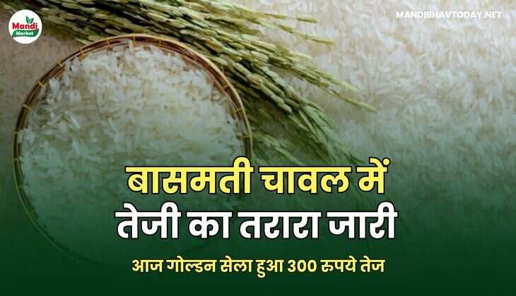 आज गोल्डन सेला हुआ 300 रुपये तेज