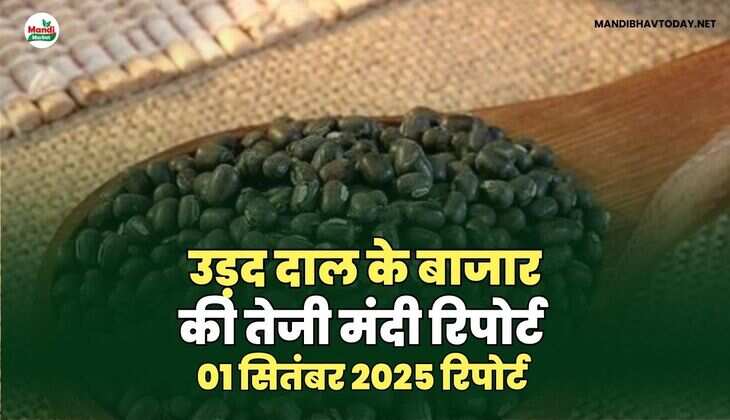 mandibhavtoday