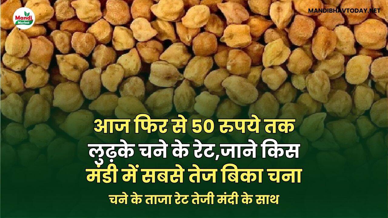 चना भाव