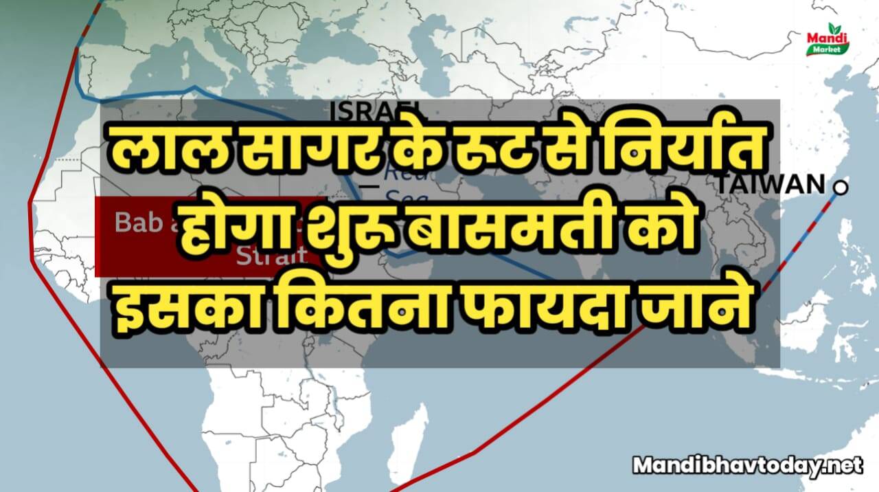 फिर से शुरू हो सकता लाल सागर का रूट | क्या बासमती को होगा फायदा | जाने पूरी खबर