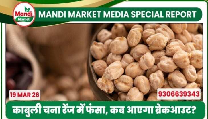 काबुली चना रेंज में फंसा, कब आएगा ब्रेकआउट?