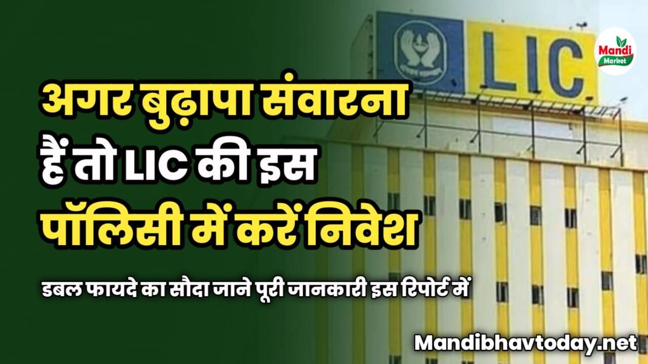 बुढ़ापा संवारना हैं तो LIC की इस पॉलिसी में करें निवेश | डबल फायदे का सौदा