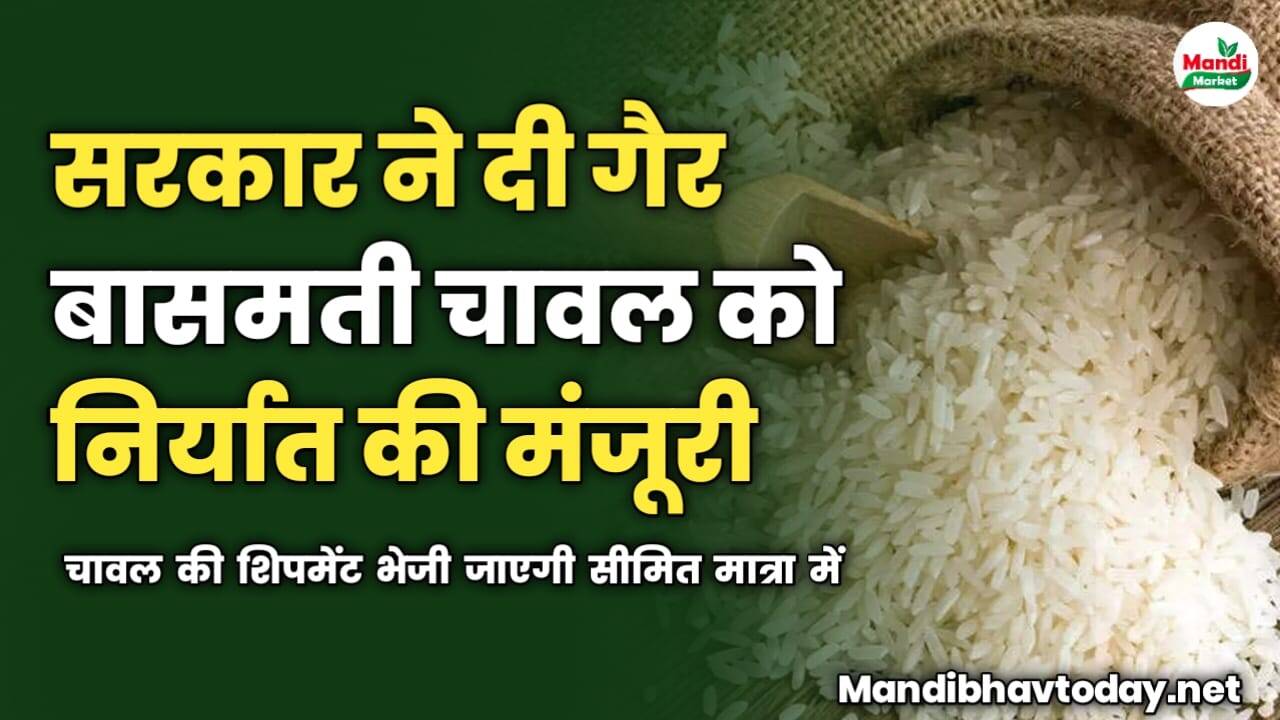 सरकार ने दी गैर बासमती चावल को निर्यात करने की मंजूरी | चावल की शिपमेंट भेजी जाएगी सीमित मात्रा में