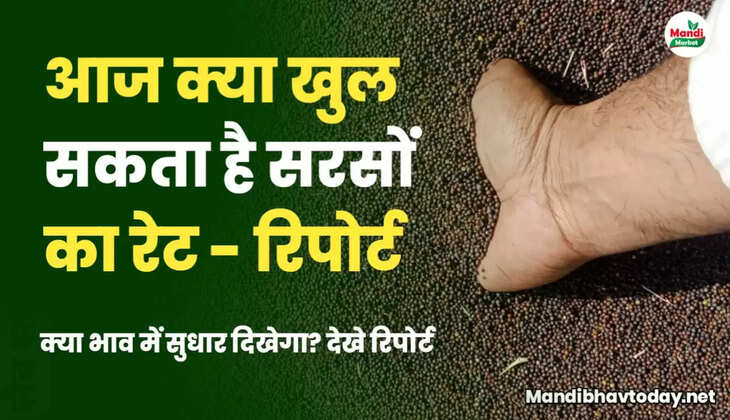 mustard report today