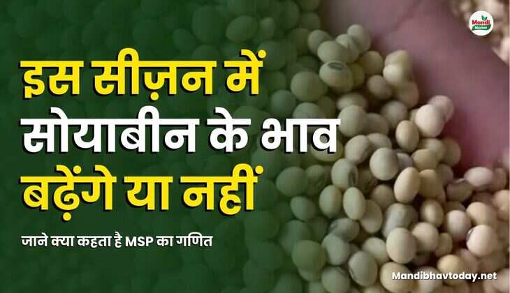 इस सीज़न में सोयाबीन के भाव बढ़ेंगे या नहीं | जाने क्या कहता है MSP का गणित