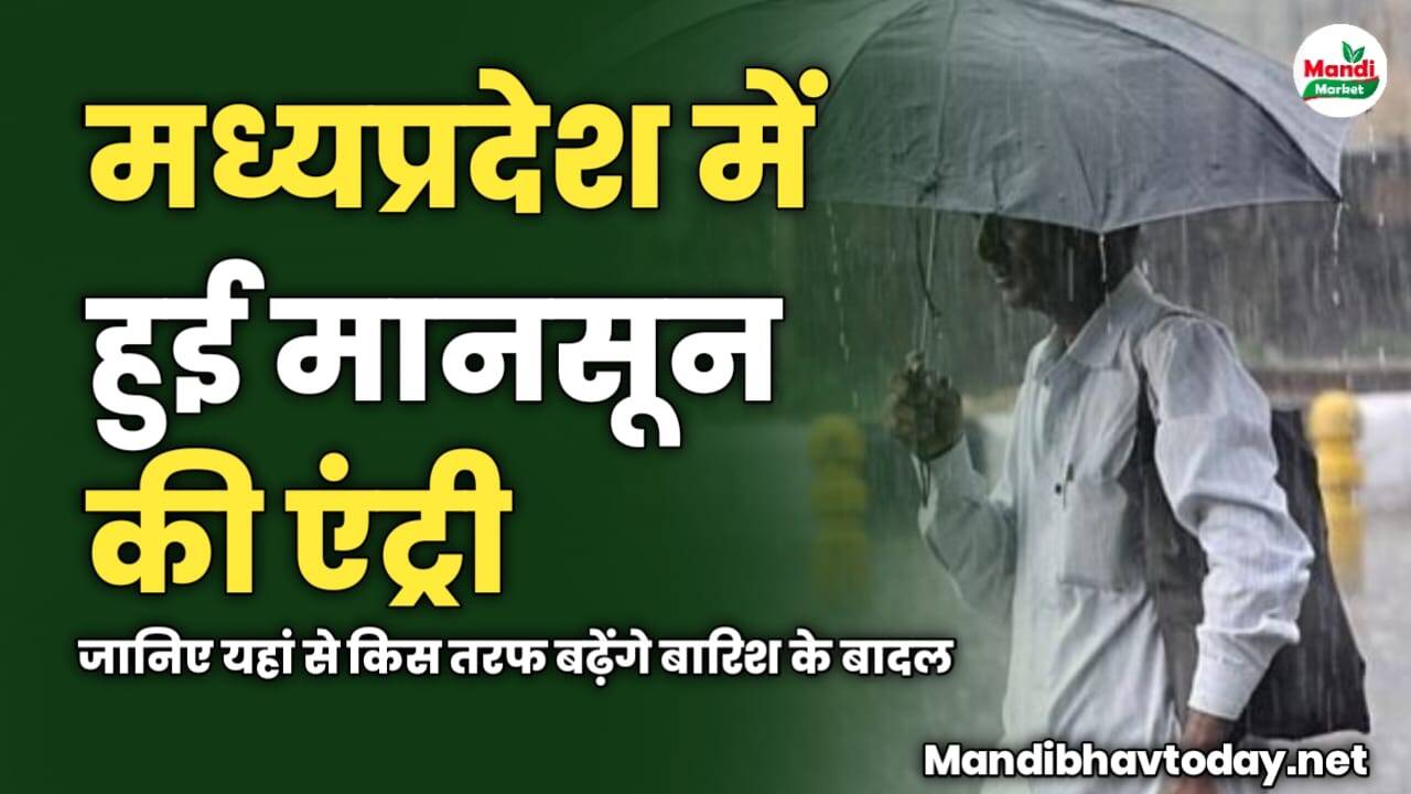 MP में हुई मानसून की एंट्री | मौसम विभाग ने दिया बड़ा अपडेट | जानिए यहां से किस तरफ बढ़ेंगे बारिश के बादल