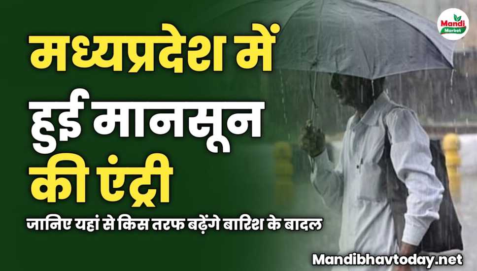 MP में हुई मानसून की एंट्री | मौसम विभाग ने दिया बड़ा अपडेट | जानिए यहां से किस तरफ बढ़ेंगे बारिश के बादल