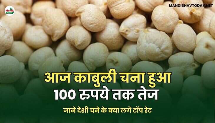जाने देशी चने के क्या लगे टॉप रेट
