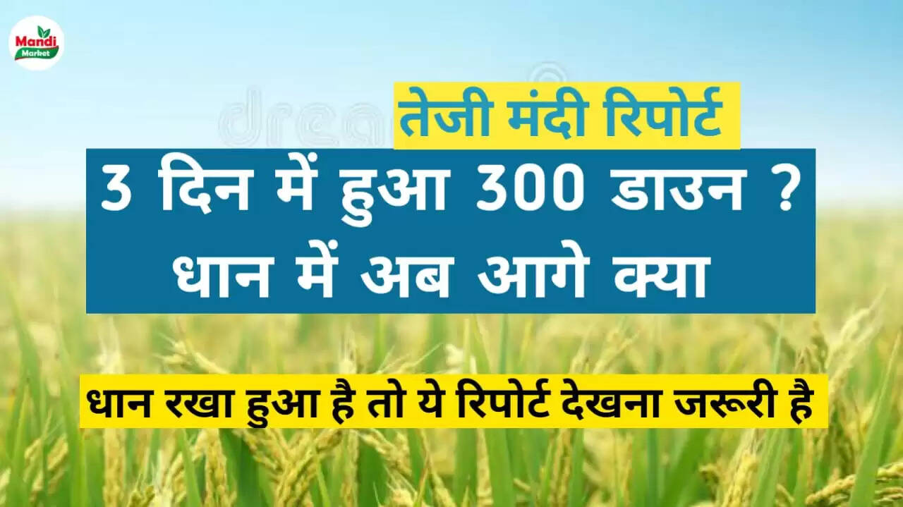 basmati rate