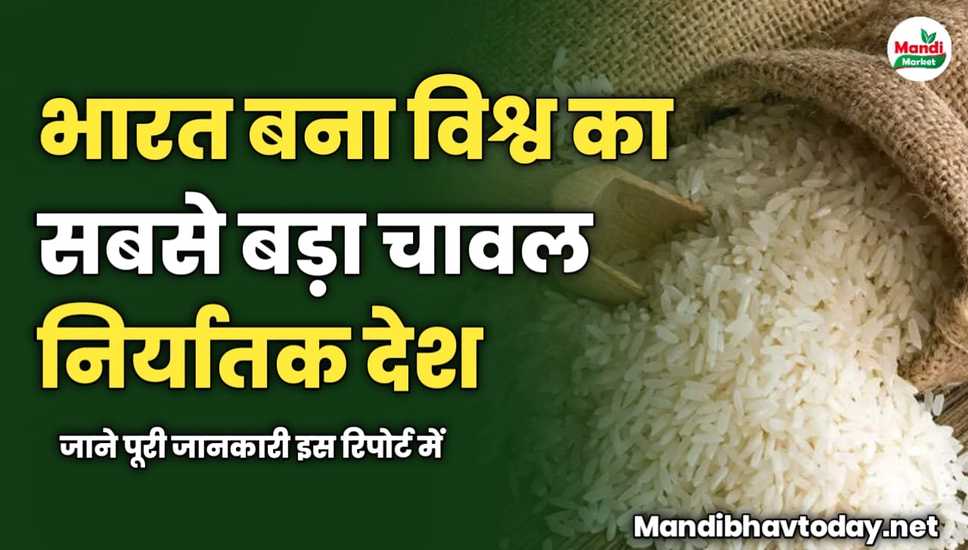 सरकारी प्रतिबंधों के बावजूद भी भारत बना विश्व का सबसे बड़ा चावल निर्यातक देश | जाने पूरी जानकारी इस रिपोर्ट में 