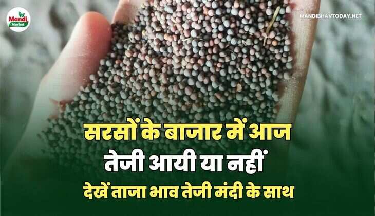 mandibhavtoday