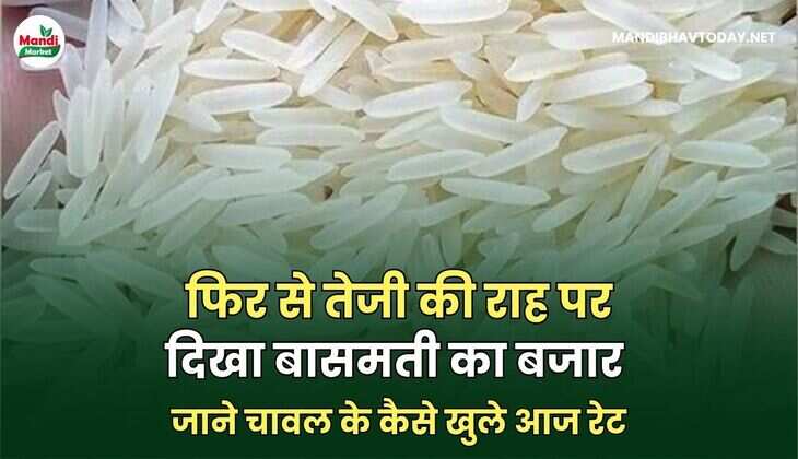 जाने चावल के कैसे खुले आज रेट