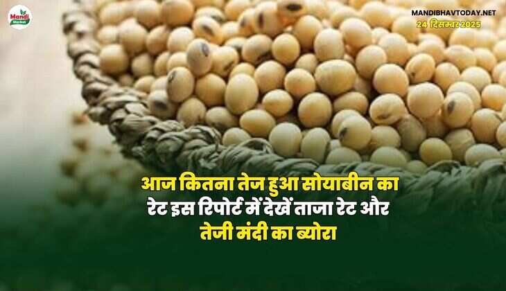 आज कितना तेज हुआ सोयाबीन का रेट | इस रिपोर्ट में देखें ताजा रेट और तेजी मंदी का ब्योरा