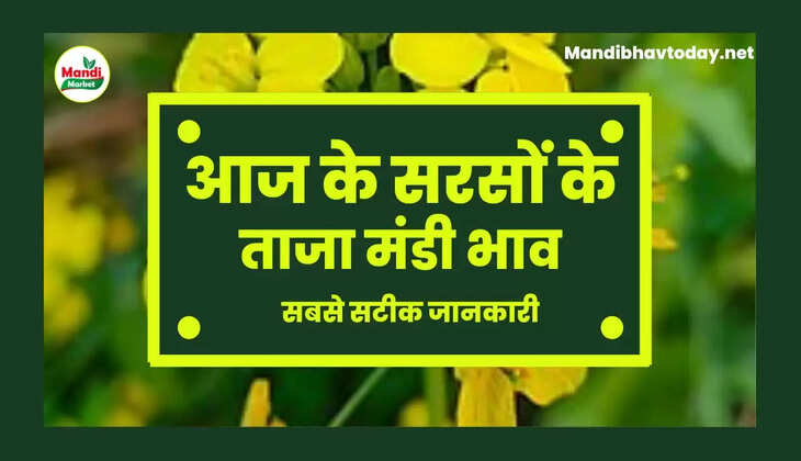  Sarso Live Rate Today 02 Dec 2022 