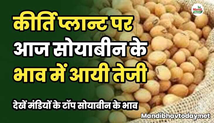 कीर्ति प्लान्ट पर आज सोयाबीन के भाव में आयी तेजी | देखें मंडियों के टॉप सोयाबीन के भाव soyabean ke taja mandi bhav 18 january 2025