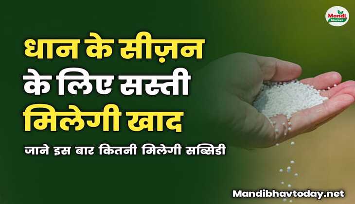 Fertilizer Subsidy New Price : धान के सीज़न के लिए सस्ती मिलेगी खाद | जाने इस बार कितनी मिलेगी सब्सिडी