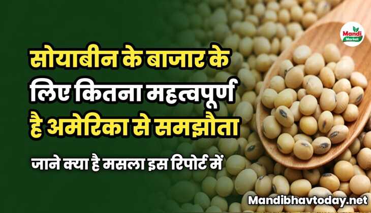 सोयाबीन के बाजार के लिए कितना महत्वपूर्ण है अमेरिका से समझौता | जाने क्या है मसला 
