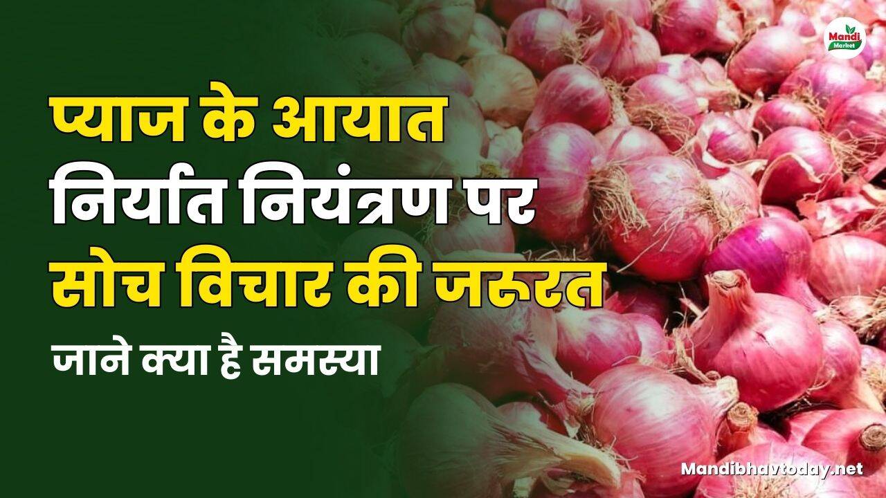 प्याज के आयात निर्यात नियंत्रण पर सोच विचार की जरूरत | जाने क्या है समस्या