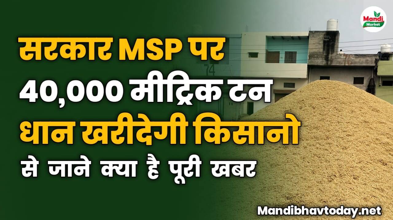 सरकार MSP पर 40,000 मीट्रिक टन धान खरीदेगी किसानो से | जाने क्या है पूरी खबर 