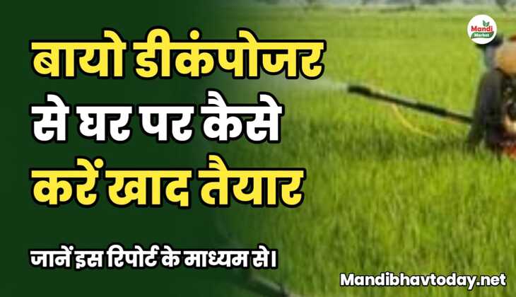 बायो डीकंपोजर से घर पर कैसे करें खाद तैयार, जानें इस रिपोर्ट के माध्यम से।