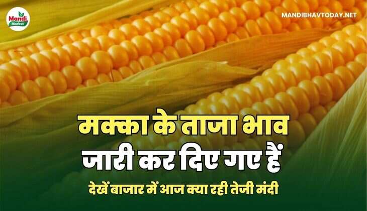 मक्का IMAGES