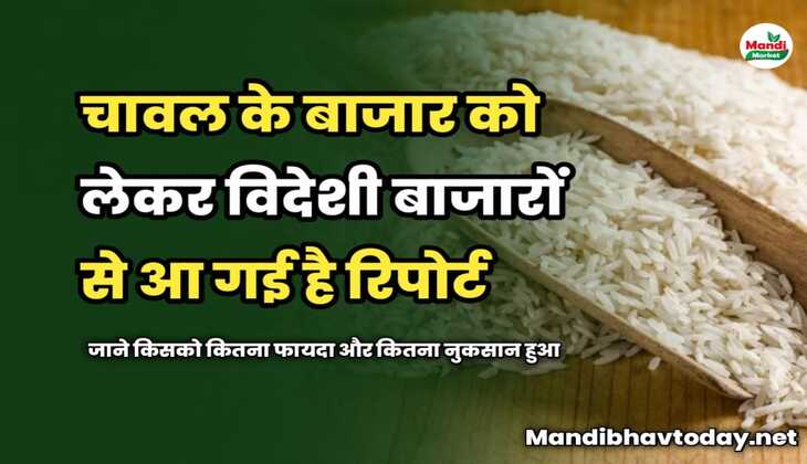चावल के बाजार को लेकर विदेशी बाजारों से आ गई है रिपोर्ट | जाने किसको कितना फायदा और कितना नुकसान हुआ 