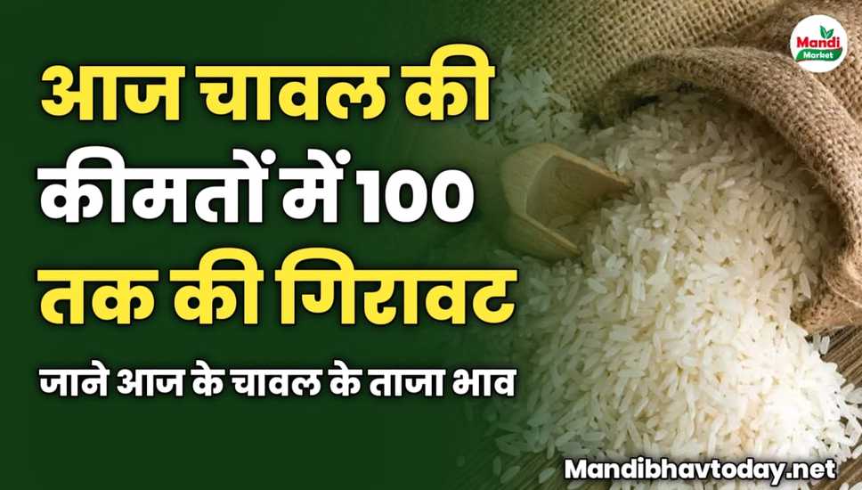 आज चावल की कीमतों में 100 रुपए तक की गिरावट | जाने आज के चावल के ताजा भाव 