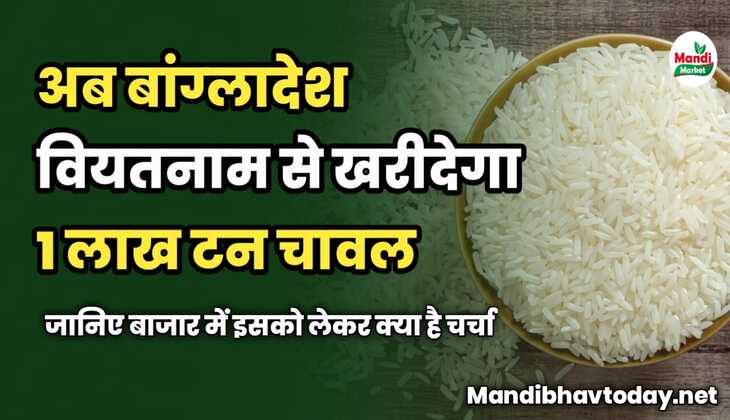 अब बांग्लादेश वियतनाम से खरीदेगा 1 लाख टन चावल | जानिए बाजार में इसको लेकर क्या है चर्चा