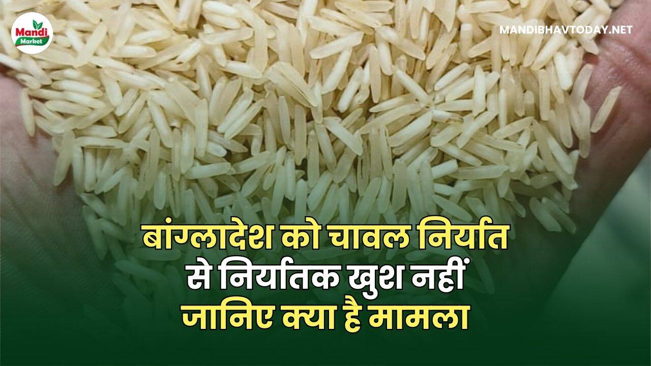 बांग्लादेश को चावल निर्यात से निर्यातक खुश नहीं | जानिए क्या है मामला