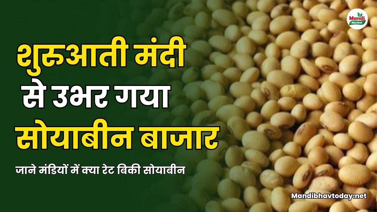 जाने मंडियों में क्या रेट बिकी सोयाबीन
