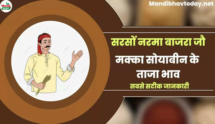 Aaj ke anaj mandi bhav 22 Dec 22