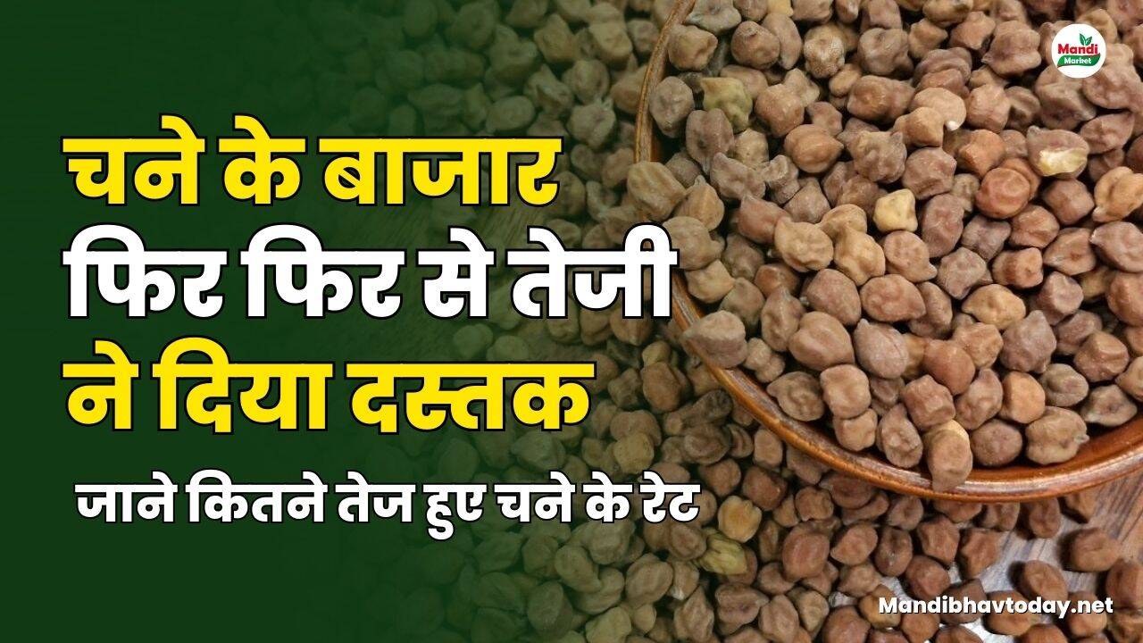 जाने कितने तेज हुए चने के रेट