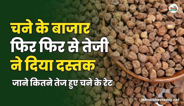 जाने कितने तेज हुए चने के रेट