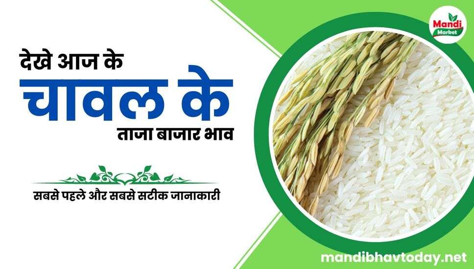 बासमती चावल के ताजा भाव | basmati rice ke taja bhav 08 June 2024