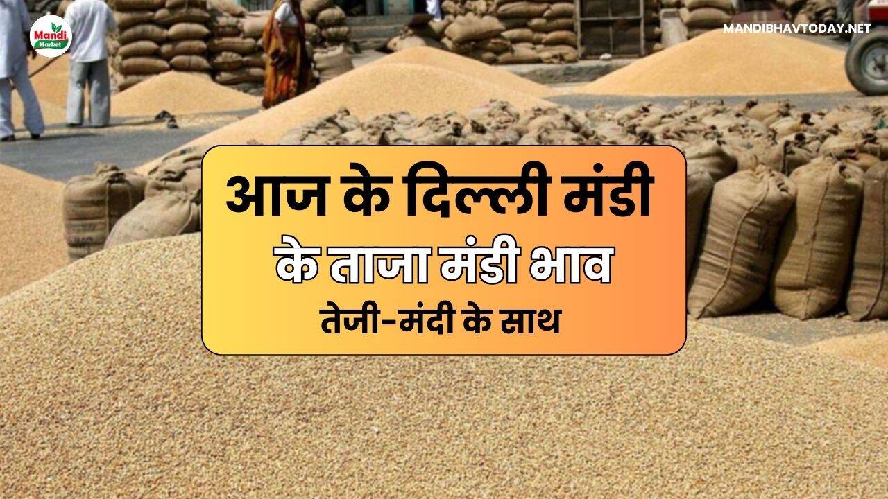 Delhi Mandi Ke Bhav 12 May 25