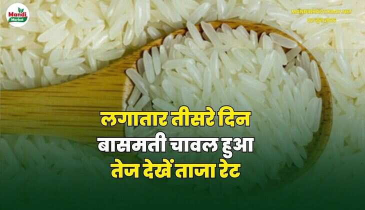 MANDI