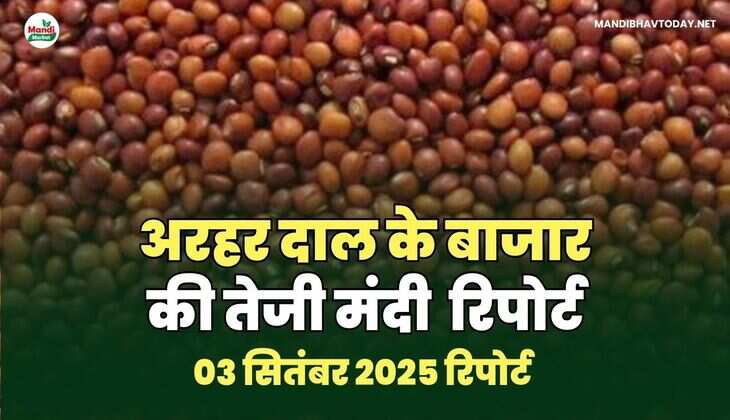 MANDIBHAVTODAY