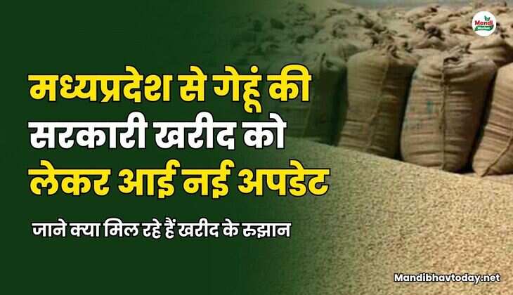 गेहू खरीद के रुझान