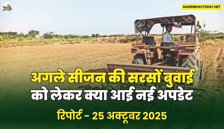 अगले सीजन की सरसों बुवाई को लेकर क्या आई नई अपडेट