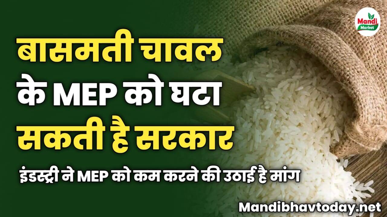 बासमती चावल के MEP को घटा सकती है सरकार | इंडस्ट्री ने MEP को कम करने की उठाई है मांग 
