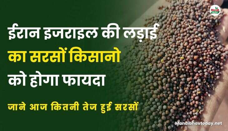 जाने आज कितनी तेज हुई सरसों