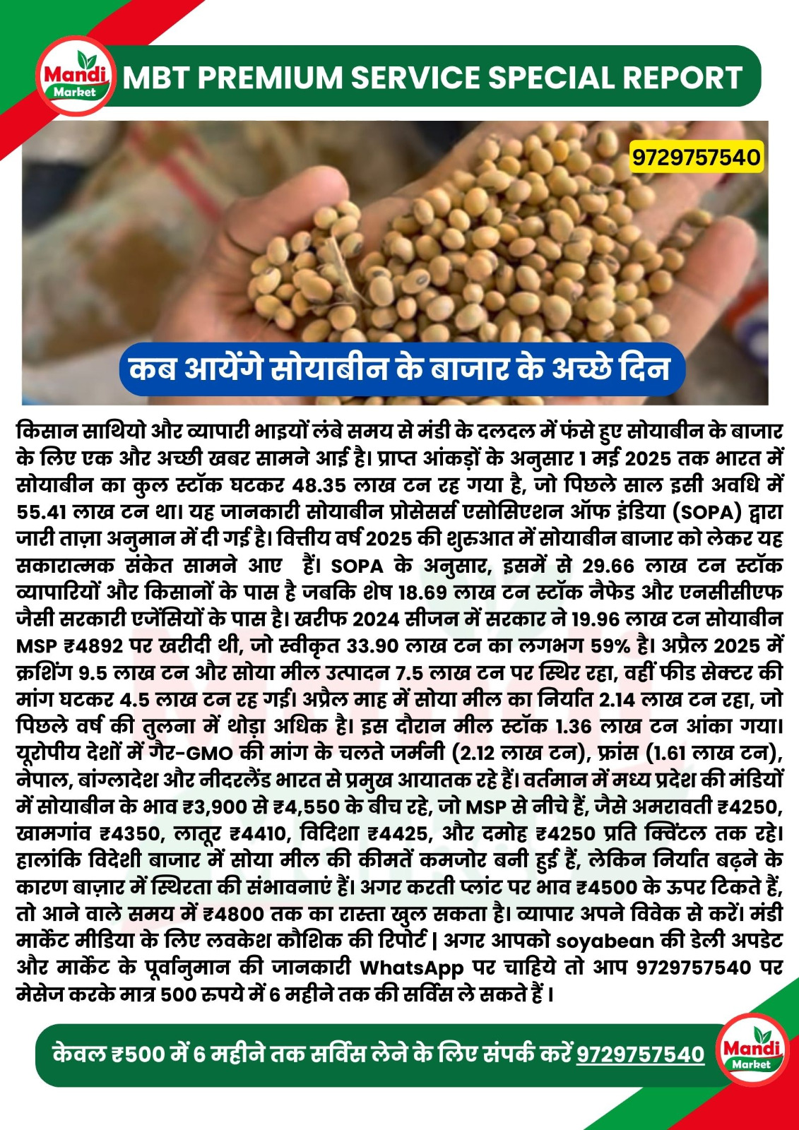 soyabean