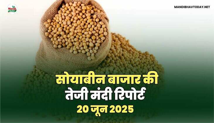 सोयाबीन बाजार की तेजी मंदी रिपोर्ट -20 जून 2025