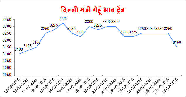 mandi bhav today
