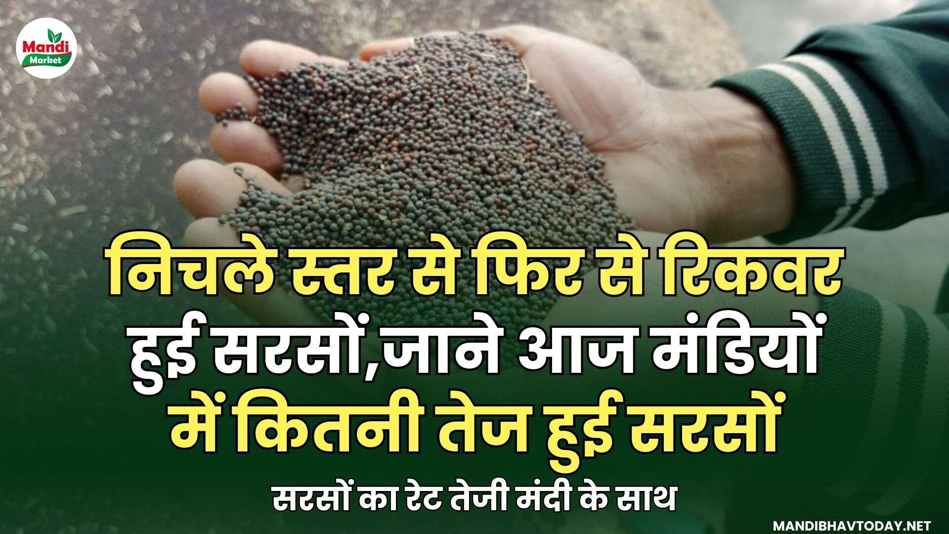 सरसों